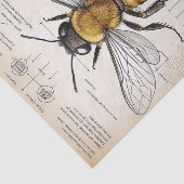 ヴィンテージビー図 薄葉紙 (詳細)