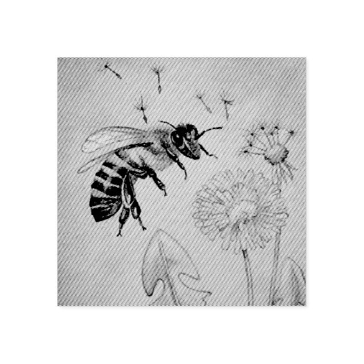 ヴィンテージビーNo. 4タンデリオンウォーターカラーアート ラバースタンプ (インプリント)