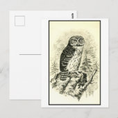 ヴィンテージピギーフクロウイラストレーション ポストカード (正面/裏面)