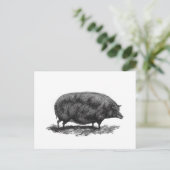 ヴィンテージピグエッチングカード ポストカード (スタンド正面)