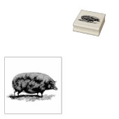 ヴィンテージピグエッチング ラバースタンプ (押印)