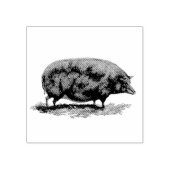 ヴィンテージピグエッチング ラバースタンプ (インプリント)