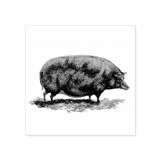 ヴィンテージピグエッチング ラバースタンプ (インプリント)