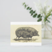 ヴィンテージピグエッチング(文字カード) ポストカード (スタンド正面)