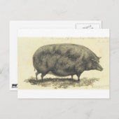 ヴィンテージピグエッチング(文字カード) ポストカード (正面/裏面)