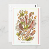 ヴィンテージピッチャープラントフローラブックイラストレーション ポストカード (正面/裏面)