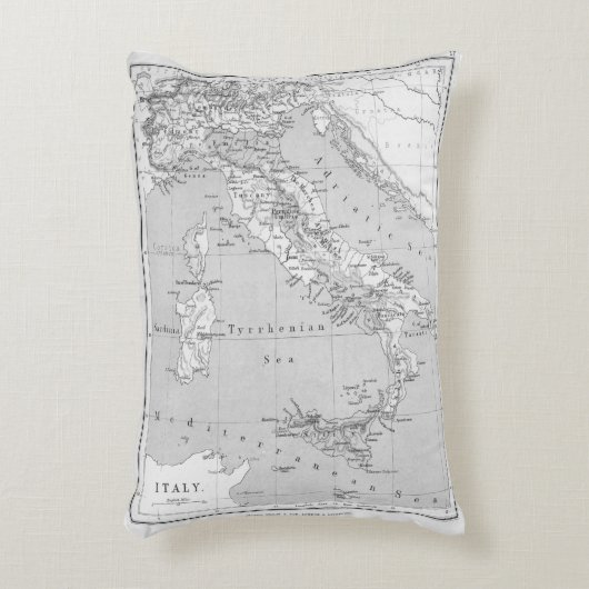 ヴィンテージピローの地図 アクセントクッション (正面(垂直))