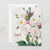 ヴィンテージピンクと白のバラとトンボ ポストカード (正面/裏面)