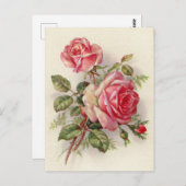 ヴィンテージピンクのバラかわいい葉書 ポストカード (正面/裏面)