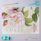 ヴィンテージピンクのバラの植物分離 薄葉紙 (クラフト)