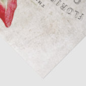 ヴィンテージピンクのバラの植物分離 薄葉紙 (詳細)