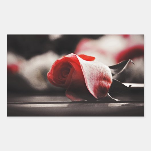 ヴィンテージピンクのバラの花 長方形シール (正面)