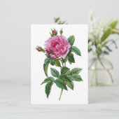 ヴィンテージピンクのバラ カード (スタンド正面)