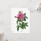 ヴィンテージピンクのバラ カード (正面/裏面インサイチュ)