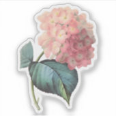 ヴィンテージピンクアジサイフローラ シール (正面)