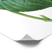 ヴィンテージピンクアジサイ・ホルテンシアフラワーバイルドゥート ポスター (角)