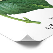 ヴィンテージピンクアジサイ・ホルテンシアフラワーバイルドゥート ポスター (角)