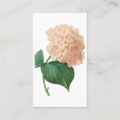 ヴィンテージピンクアジサイ・ホルテンシアフラワーバイルドゥート 名刺 (裏面)