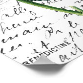 ヴィンテージピンクアジサイ ポスター (角)