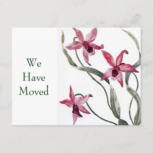 ヴィンテージピンクオーキッド住所はがきの変更 案内ポストカード (正面)