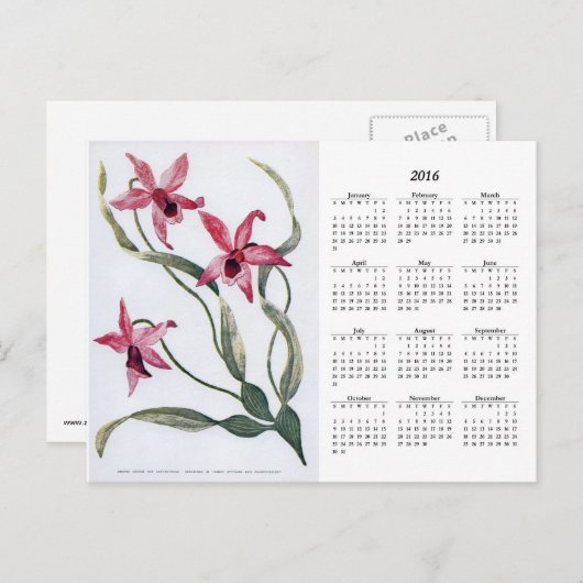 ヴィンテージピンクオーキッド2016フローラカレンダーはがき ポストカード (正面/裏面)