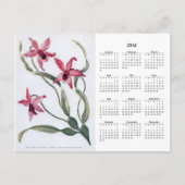 ヴィンテージピンクオーキッド2016フローラカレンダーはがき ポストカード (正面)