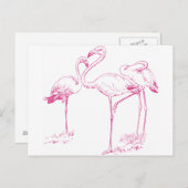 ヴィンテージピンクフラミンゴスケッチ ポストカード (正面/裏面)