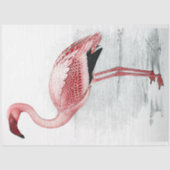 ヴィンテージピンクフラミンゴフィンチデイビス1919 薄葉紙 (正面)