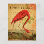 ヴィンテージピンクフラミンゴフローラフランスのカルテポストエール ポストカード (正面)