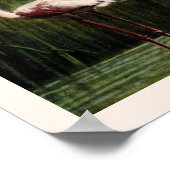 ヴィンテージピンクフラミンゴプリント ポスター (角)