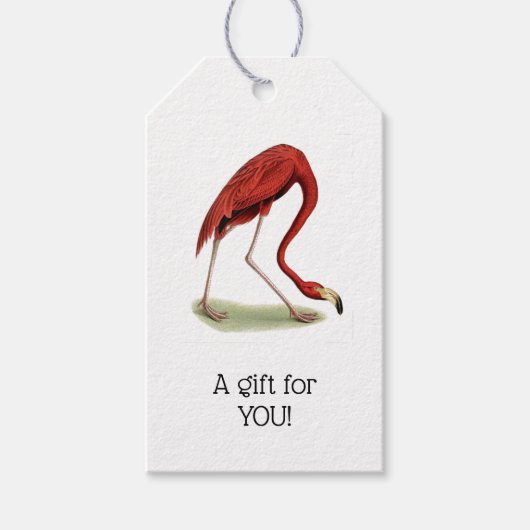 ヴィンテージピンクフラミンゴ#1 ギフトタグ (正面)