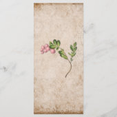 ヴィンテージピンクベリー結婚のメニュー メニュー (裏面)