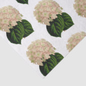 ヴィンテージピンクホワイトグリーンアジサイ花#2 薄葉紙 (詳細)