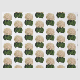 ヴィンテージピンクホワイトグリーンアジサイ花#2 薄葉紙