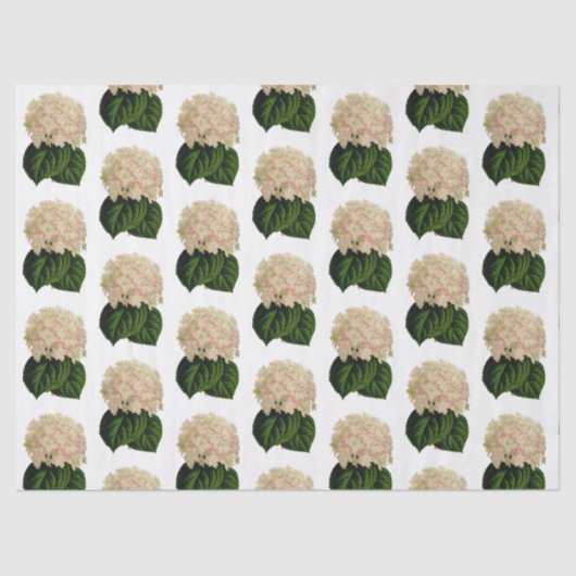 ヴィンテージピンクホワイトグリーンアジサイ花#2 薄葉紙 (正面)