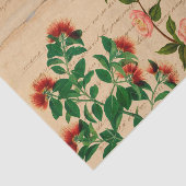 ヴィンテージピンクボタニカルエフェメラ 薄葉紙 (詳細)