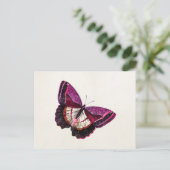 ヴィンテージピンクレッドバタフライ1896空白のテンプレート ポストカード (スタンド正面)