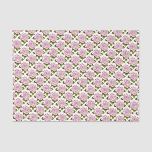 ヴィンテージピンクローズスケッチ10インチx 15インチティッシュペーパー 薄葉紙 (正面)