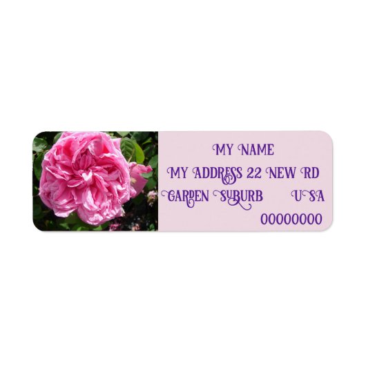 ヴィンテージピンクローズバラ写真差出人住所ラベル ラベル (正面)