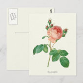 ヴィンテージピンクローズボタニカルプリント ポストカード (正面/裏面)