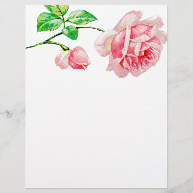 ヴィンテージピンクローズ (正面)