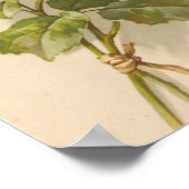 ヴィンテージピンクローズ ポスター (角)