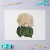 ヴィンテージピンク白い緑あじさい花#2花 薄葉紙 (クラフト)