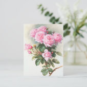 ヴィンテージピンク絵画ローズ葉書 ポストカード (スタンド正面)
