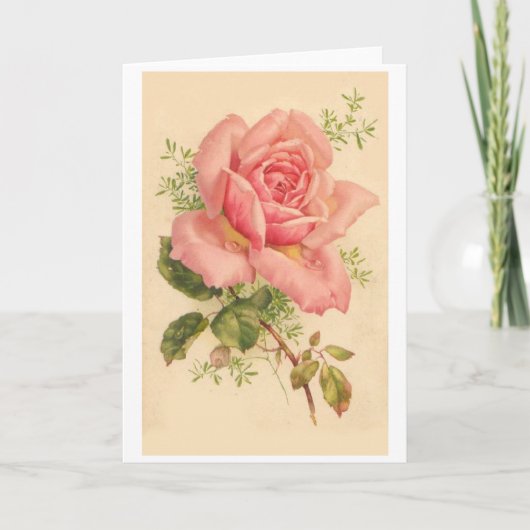 ヴィンテージピンク色のバラに露が立つ カード (正面)