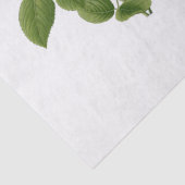 ヴィンテージピンク茶バラ花 薄葉紙 (詳細)