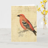 ヴィンテージピンク カード (黄色い花)