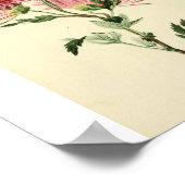 ヴィンテージピンク ポスター (角)