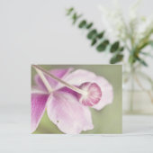 ヴィンテージピンク ポストカード (スタンド正面)