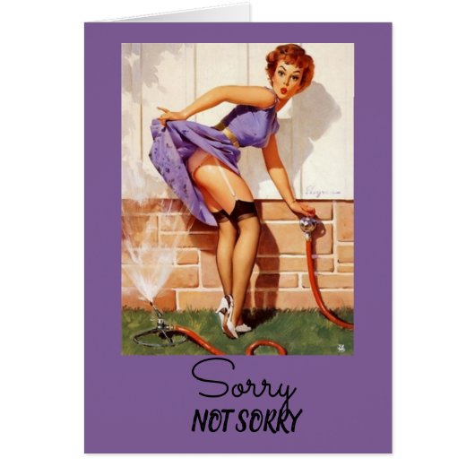 ヴィンテージピンナップ今日は申し訳感じいけなない (正面)